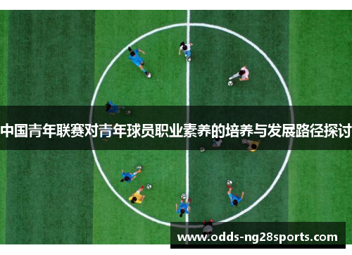 中国青年联赛对青年球员职业素养的培养与发展路径探讨