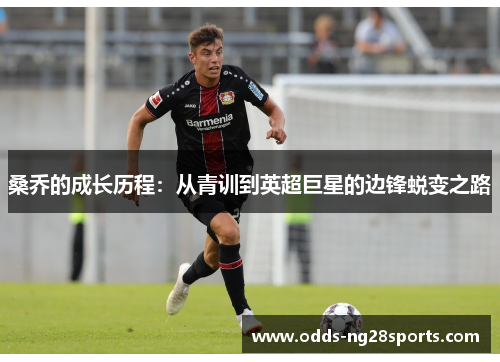 桑乔的成长历程：从青训到英超巨星的边锋蜕变之路