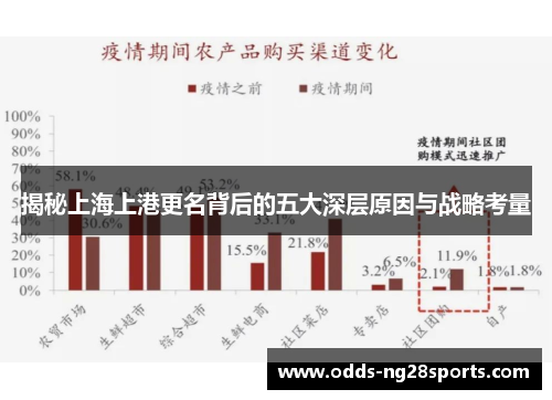 揭秘上海上港更名背后的五大深层原因与战略考量